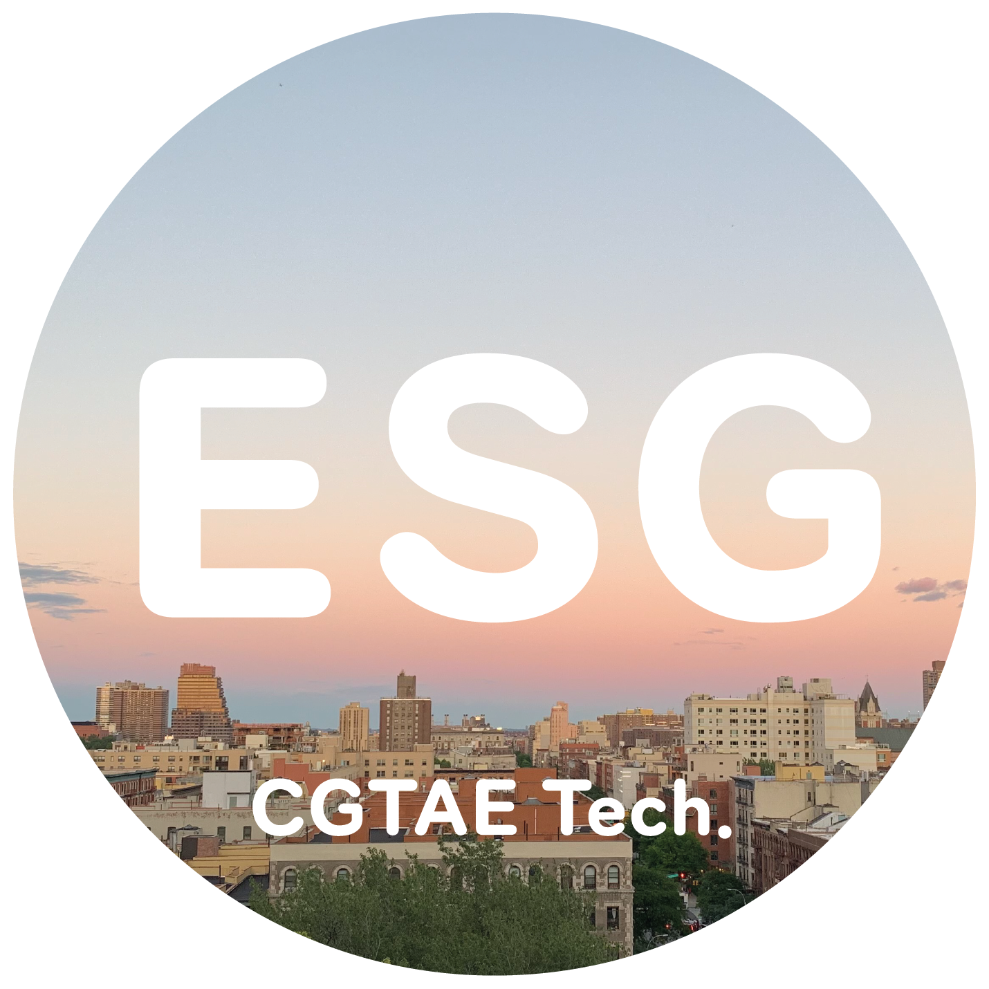 CGTae ESG 报告